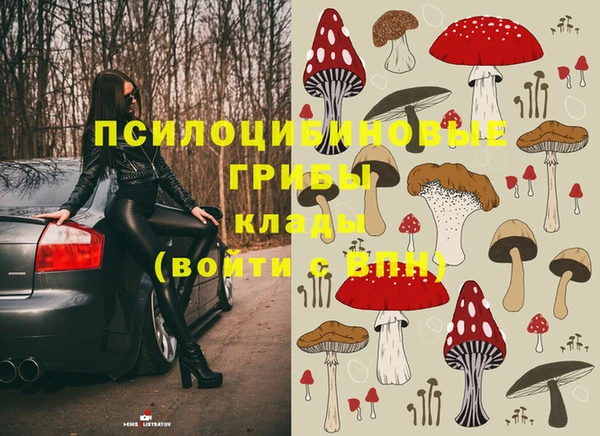 эйфоретик Михайловск
