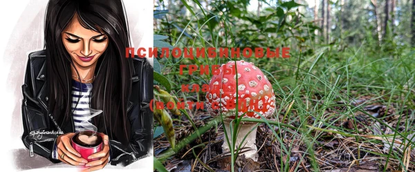 гидропоника Михайлов