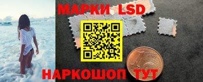 дмт Гатчина