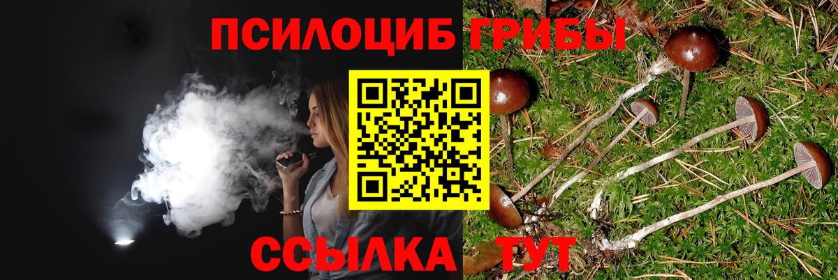 Галлюциногенные грибы ЛСД Котовск