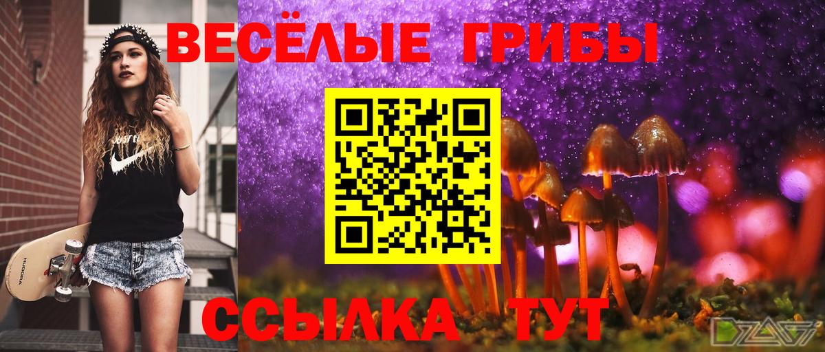 Галлюциногенные грибы мицелий Котовск