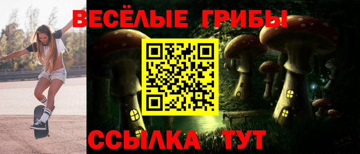 Галлюциногенные грибы мицелий  Вход с VPN  Котовск  Галлюциногенные грибы Magic Shrooms 